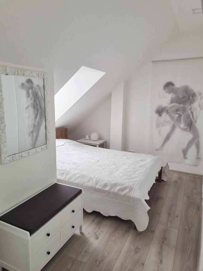 Gallery Balta Apartments Kaunas Dış mekan fotoğraf